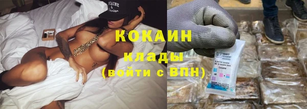 бошки Богданович