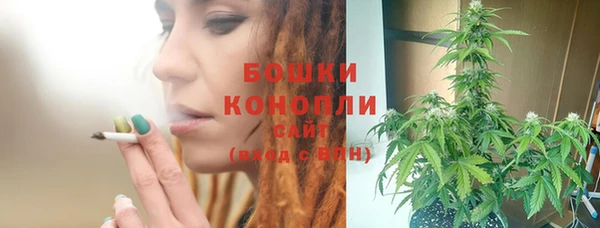 кокс Белокуриха