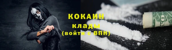 бошки Богданович