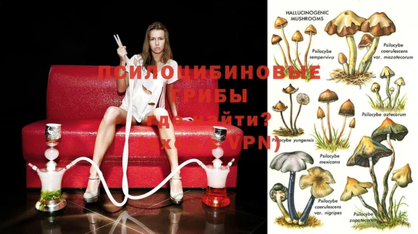 бошки Богданович