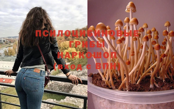 кокс Белокуриха