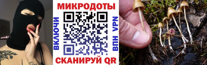 купить   OMG маркетплейс  Галлюциногенные грибы GOLDEN TEACHER  Реж 